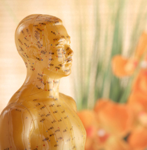 Acupuncture Model